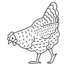 Coloriage Poule marchant la tête baissée