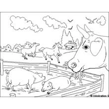 Coloriage Scène de ferme avec vache, cochons et chevaux