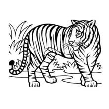 Animaux sauvages / de la jungle - Coloriages gratuits à imprimer