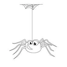 Coloriage Araignée suspendue à sa toile