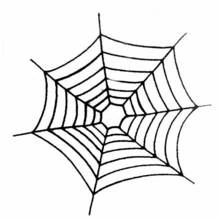 Coloriage Araignée toile pour Halloween