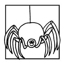 Coloriage Araignée suspendue à son fil