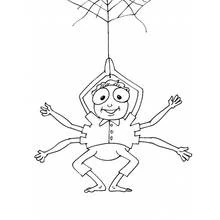 Coloriage Araignée garçon suspendue à une toile