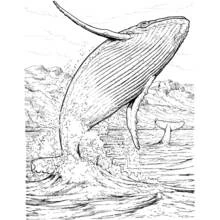Coloriage Baleine bondissant hors des vagues