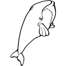 Coloriage Baleine nageant en position verticale