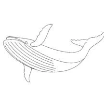 Coloriage Baleine nageant avec une nageoire levée