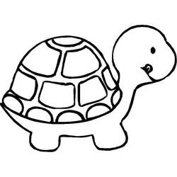 Coloriage Bébé tortue avec une carapace ronde