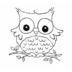 Coloriage Bébé hibou perché sur une branche
