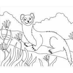 Coloriage Belette debout parmi les fleurs sauvages