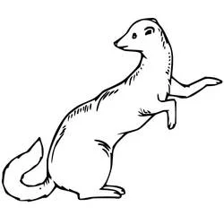 Coloriage Belette assise sur ses pattes arrière