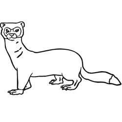 Coloriage Belette en position d'alerte