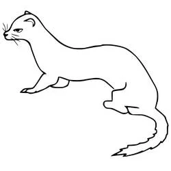 Coloriage Belette en position de profil