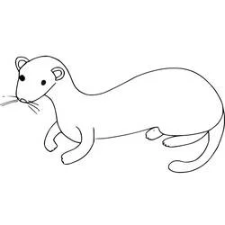 Coloriage Belette au corps long et fin