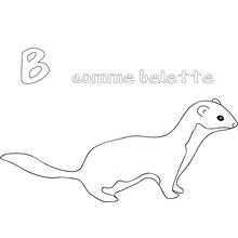 Belette - Coloriages gratuits à imprimer