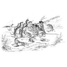 Coloriage Belette combattant les rats dans une scène de fable