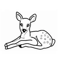 Coloriage Biche allongée au pelage tacheté
