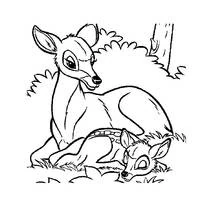 Coloriage Biche allongée avec son faon dans la forêt