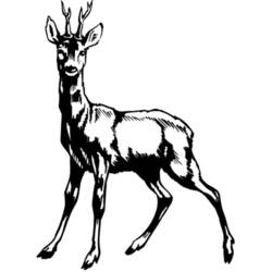 Coloriage Biche aux bois debout et attentive