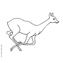 Coloriage Biche en pleine course