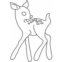 Coloriage Biche faon au dos tacheté