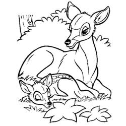 Coloriage Biche allongée avec son faon
