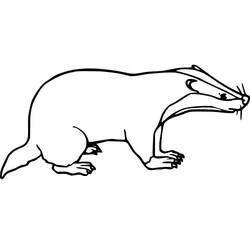 Coloriage Blaireau en marche