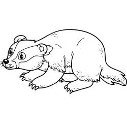 Coloriage Blaireau qui marche