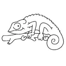 Caméléon - Coloriages gratuits à imprimer