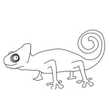 Coloriage Caméléon marchant avec la queue enroulée