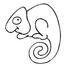 Coloriage Caméléon à la queue enroulée