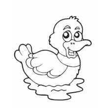 Coloriage Canard flottant sur l'eau