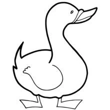 Coloriage Canard debout au long cou