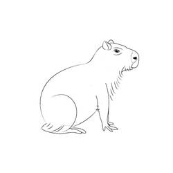 Coloriage Capybara assis calmement