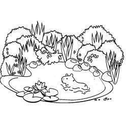 Coloriage Capybara nageant dans un étang