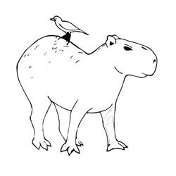 Coloriage Capybara avec un oiseau sur le dos