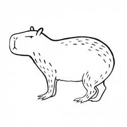 Coloriage Capybara debout de profil