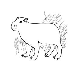 Coloriage Capybara debout dans l'herbe haute