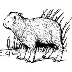 Coloriage Capybara debout dans les hautes herbes
