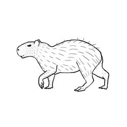 Coloriage Capybara qui marche