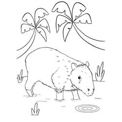 Coloriage Capybara debout dans l'eau peu profonde