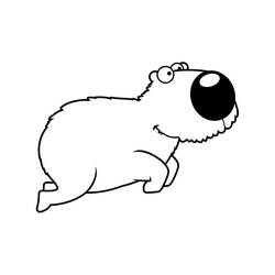 Coloriage Capybara avec une grosse tête ronde