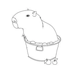 Coloriage Capybara assis dans un panier de fruits