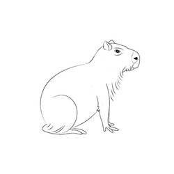 Coloriage Capybara assis tranquillement