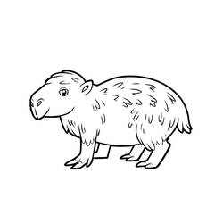Coloriage Capybara aux fourrures touffues