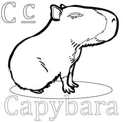 Coloriage Capybara debout avec la lettre C