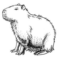 Coloriage Capybara assis tranquillement au sol