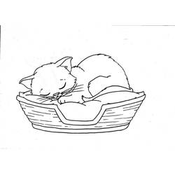 Coloriage Chaton endormi dans un panier tressé