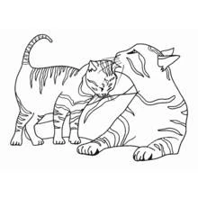 Coloriage Chaton câlinant un chat adulte allongé