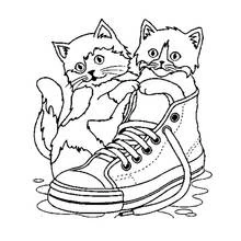Coloriage Deux chatons jouant dans une basket