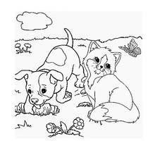 Coloriage Chaton et chiot jouant dans un pré